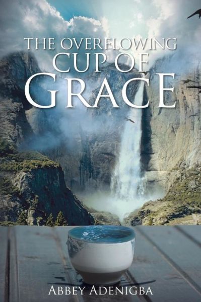 Cover for Abbey Adenigba · The Overflowing Cup of Grace (Paperback Book) (2013)