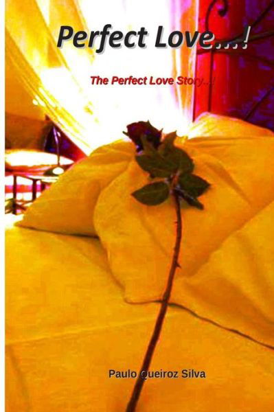 Cover for P Paulo Queiroz Silva S · Perfect Love...!: the Perfect Love Story...! (Paperback Book) (2014)