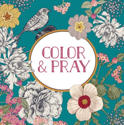 Cover for New Seasons · Color and Pray (Keepsake Coloring Book) (Buch) (2023)