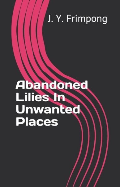 Cover for Esinam a Dunyo · Abandoned Lilies In Unwanted Places (Paperback Book) (2019)