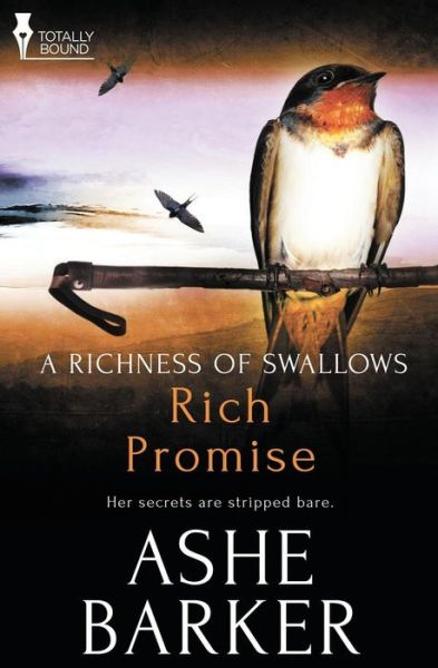 Cover for Ashe Barker · Rich Promise (A Richness of Swallows) (Volume 3) (Paperback Book) (2014)