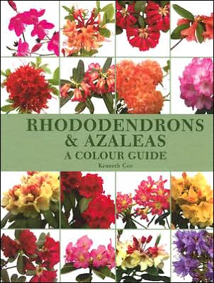 Cover for Kenneth Cox · Rhododendrons and Azaleas - A Colour Guide (Hardcover Book) (2005)