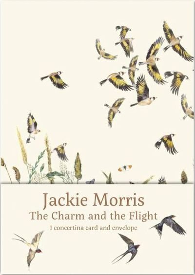The Charm and the Flight Concertina Card - Graffeg - Books - Graffeg Limited - 9781912213849 - September 28, 2018