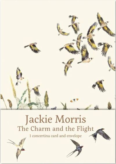 Cover for Jackie Morris · The Charm and the Flight Concertina Card (Bok) (2018)