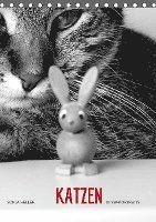 Sonja Heller Katzen in SW-Portra - Heller - Books -  - 9783670520849 - 