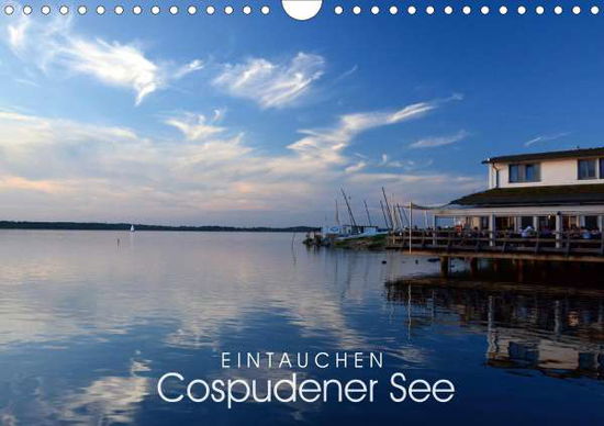 Cover for Manz · EINTAUCHEN - Cospudener See (Wandk (Buch)