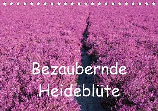Cover for Valentino · Bezaubernde Heideblüte (Tisch (Bok)