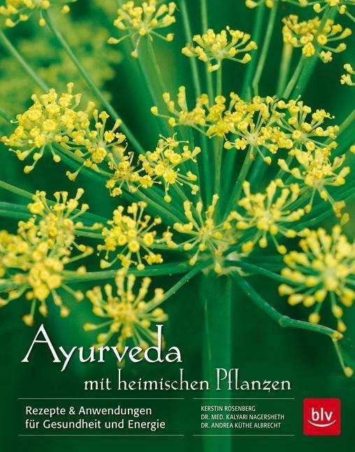 Cover for Rosenberg · Ayurveda mit heimischen Pflan (Bog)