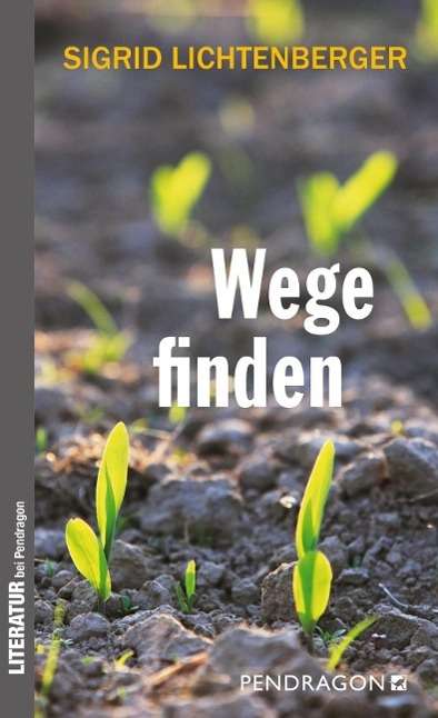 Cover for Lichtenberger · Wege finden (Book)