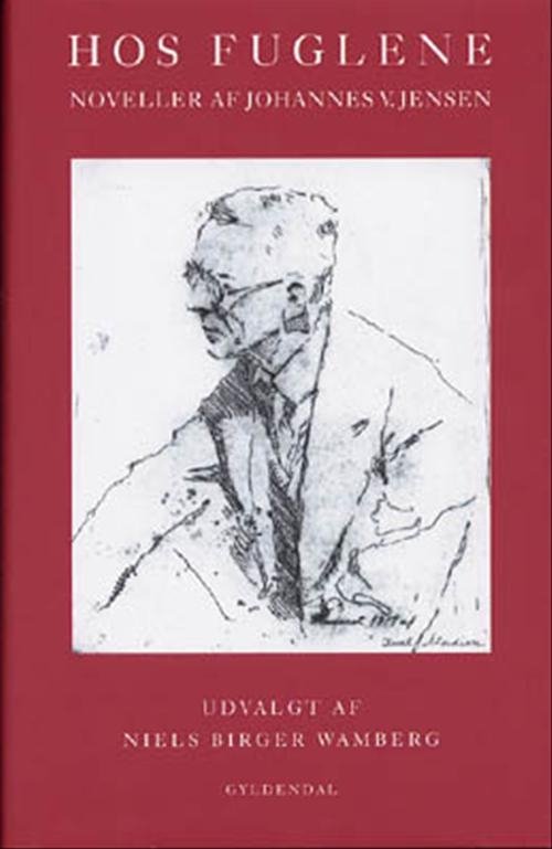 Cover for Johannes V. Jensen · Hos fuglene (Bound Book) [1.º edición] [Indbundet] (2001)