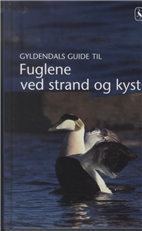 Cover for Jens Overgaard Christensen · Fuglene ved strand og kyst (Book) [1st edition] (2013)