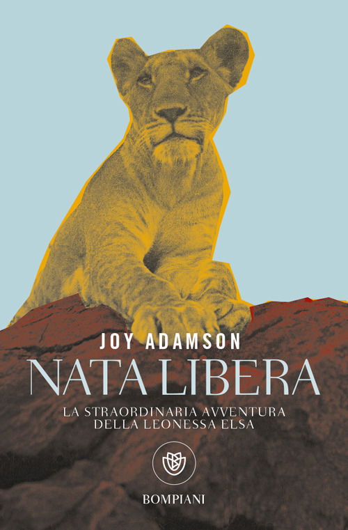 Cover for Joy Adamson · Nata Libera. La Straordinaria Avventura Della Leonessa Elsa (Book)