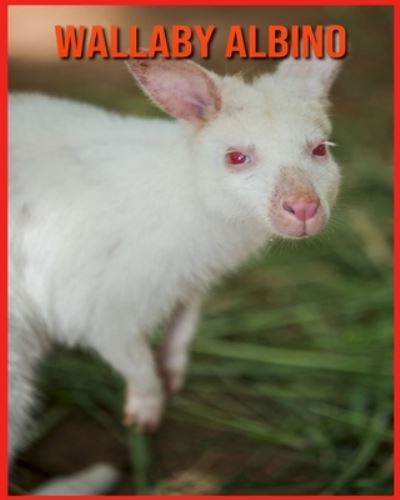 Cover for Linda Davis · Wallaby Albino: Fatti di apprendimento divertenti sui Wallaby Albino (Paperback Book) (2021)