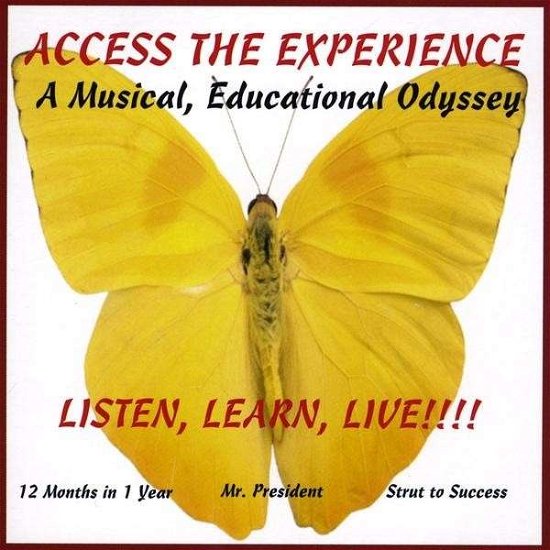 Cover for Ty the Teacher · Access the Experience (CD) (2009)
