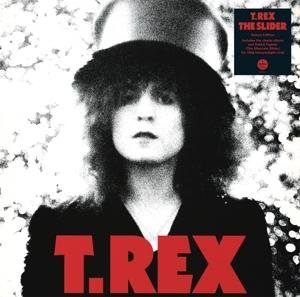 The Slider - Trex - Música - DEMON RECORDS - 5014797895850 - 24 de marzo de 2017