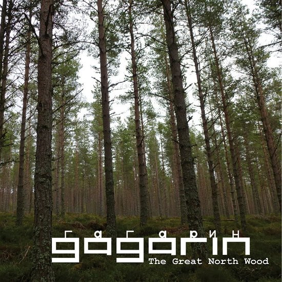Cover for Gagarin · The Great North Wood (CD) (2020)