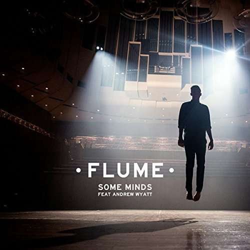 Cover for Flume · Some Minds (LP) [Standard edition] (2018)