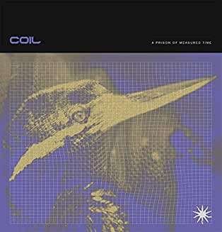 Cover for Coil · A Prison of Measured Time (CD) (2020)