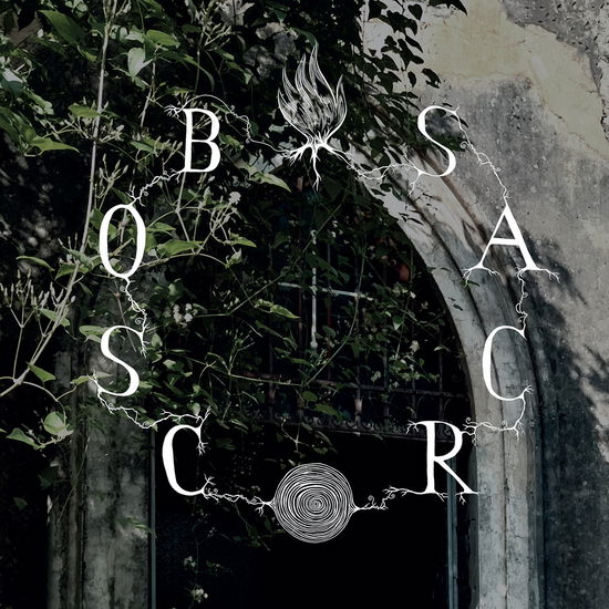 Cover for Bosco Sacro · Live At Chiesa Armena (LP) (2025)