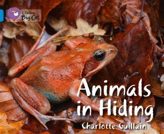 Cover for Charlotte Guillain · Animals in Hiding: Band 04/Blue - Collins Big Cat (Paperback Book) (2013)