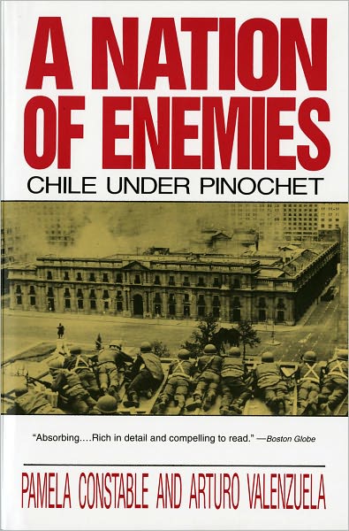 A Nation of Enemies: Chile Under Pinochet - Pamela Constable - Kirjat - WW Norton & Co - 9780393309850 - keskiviikko 28. heinäkuuta 1993