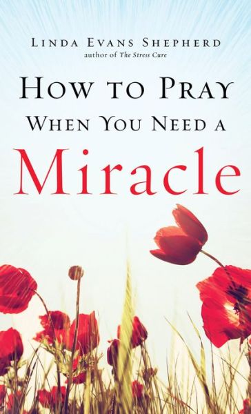 Cover for Linda Evans Shepherd · How to Pray When You Need a Miracle (Hardcover Book) (2016)