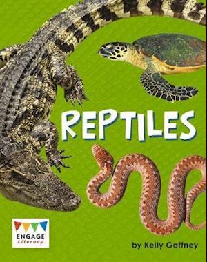 Cover for Kelly Gaffney · Reptiles (N/A) (2020)