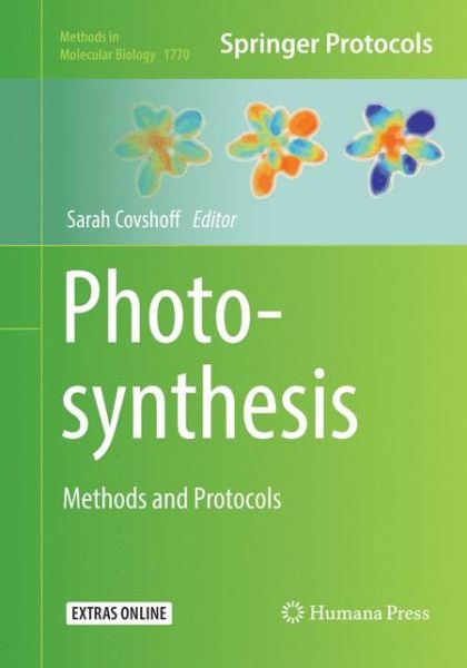 Cover for Photosynthesis (Book) [Softcover reprint of the original 1st ed. 2018 edition] (2019)