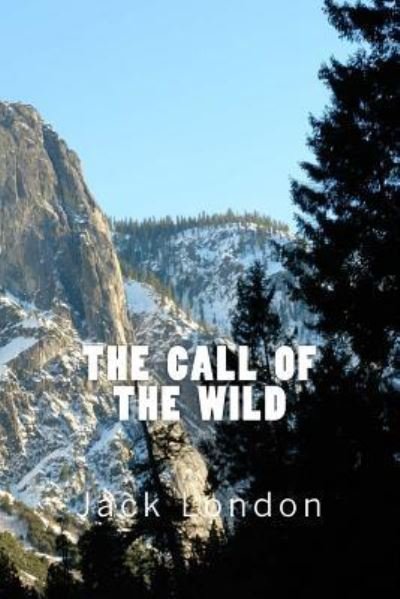 The Call of the Wild (Richard Foster Classics) - Jack London - Books - Createspace Independent Publishing Platf - 9781522717850 - December 12, 2015