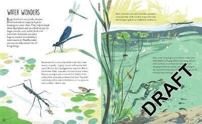 Bugs Save the World - Buglife - Livres - Hachette Children's Group - 9781526313850 - 24 février 2022