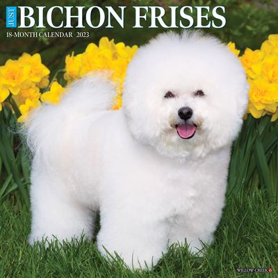 Cover for Willow Creek Press · Just Bichons Frises 2023 Wall Calendar (Book) (2022)