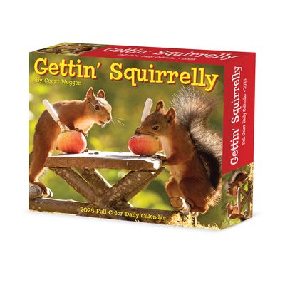 Gettin' Squirrelly 2025 6.2 X 5.4 Box Calendar -  - Gadżety - Willow Creek Press Calendars - 9781549240850 - 10 września 2024