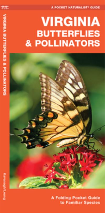 Cover for James Kavanagh · Virginia Butterflies &amp; Pollinators: A Folding Pocket Guide to Familiar Species - Wildlife and Nature Identification (Pamphlet) [2nd edition] (2020)