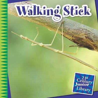 Cover for Tamra Orr · Walking Stick (Paperback Book) (2015)