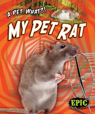 Cover for Paige V. Polinsky · My Pet Rat (Book) (2020)