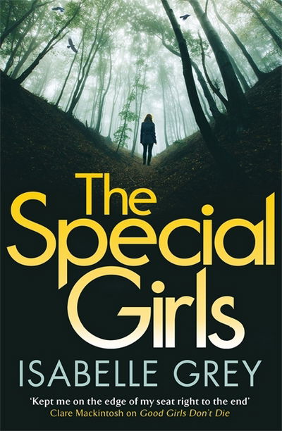 Cover for Isabelle Grey · The Special Girls: A devastating crime thriller with a heart-wrenching twist - DI Grace Fisher (Paperback Book) (2017)