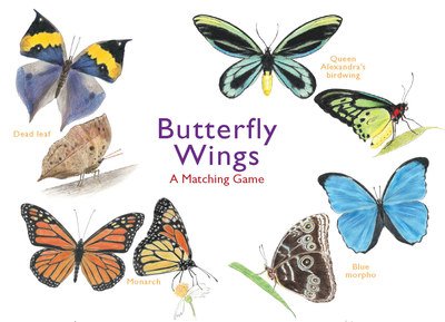Cover for Christine Berrie · Butterfly Wings: A Matching Game (Flashcards) (2019)