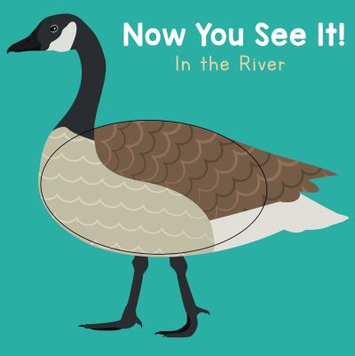 Now you See It! River - Now You See It! - Sarah Dellow - Bøger - Child's Play International Ltd - 9781786285850 - 20. maj 2022