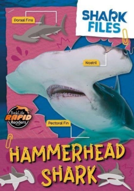 Cover for Robin Twiddy · Hammerhead Shark - Shark Files (Paperback Book) (2024)