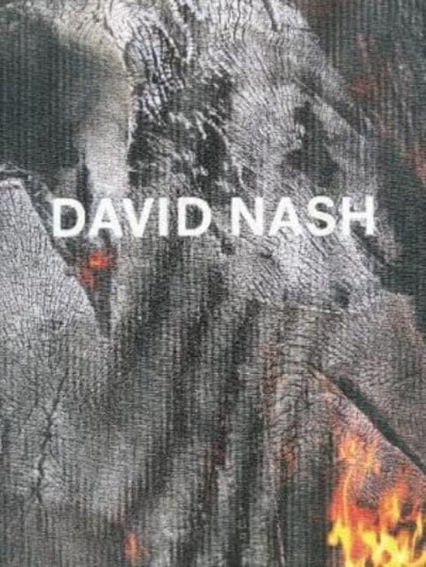 Cover for Hugh Aldersey-Williams · David Nash - Wood, Metal, Pigment (Hardcover Book) (2018)