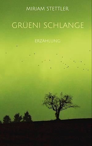 Cover for Miriam Stettler · Grüeni Schlange (Hardcover Book) (2022)