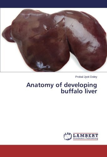 Cover for Probal Jyoti Doley · Anatomy of Developing Buffalo Liver (Paperback Book) (2014)