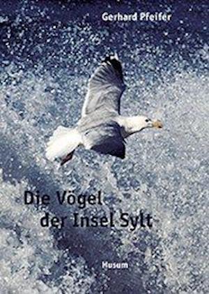 Cover for Gerhard Pfeifer · Die Vögel der Insel Sylt (Hardcover Book) (2003)