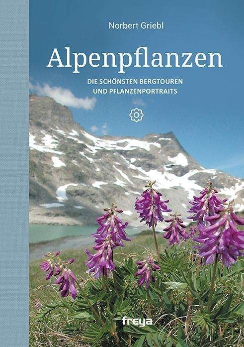 Alpenpflanzen - Griebl - Bøker -  - 9783990251850 - 