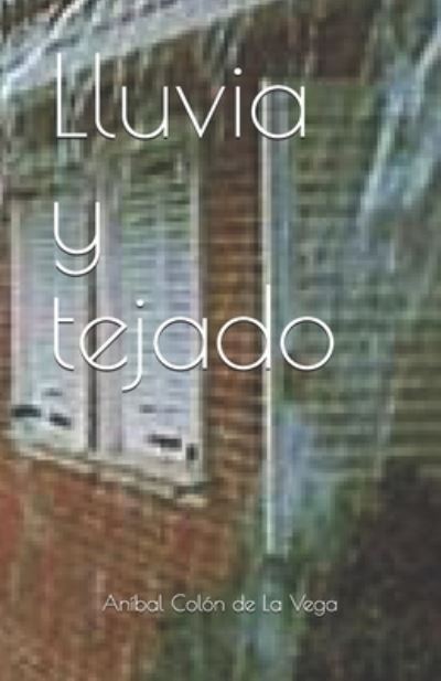 Cover for Anibal Colon De La Vega · Lluvia y tejado (Paperback Book) (2020)