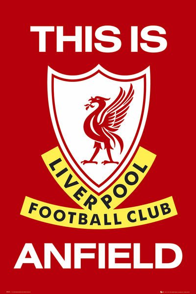 Cover for Liverpool · Liverpool: This Is Anfield (Poster Maxi 61x91,5 Cm) (MERCH)