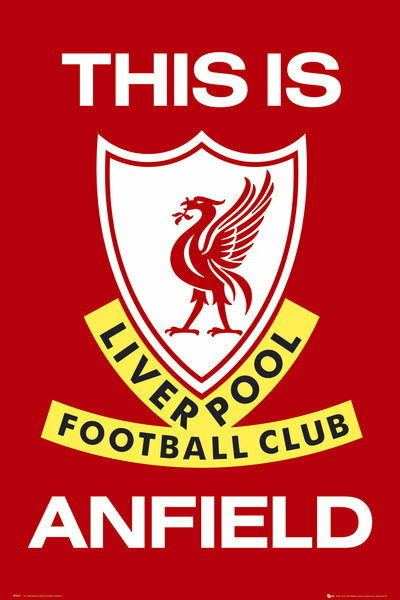 Liverpool: This Is Anfield (Poster Maxi 61x91,5 Cm) - Liverpool - Mercancía -  - 5028486023851 - 