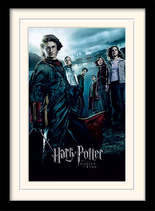 Cover for Harry Potter · HARRY POTTER - Mounted &amp; Framed 30X40 Print - Gobl (MERCH) (2019)