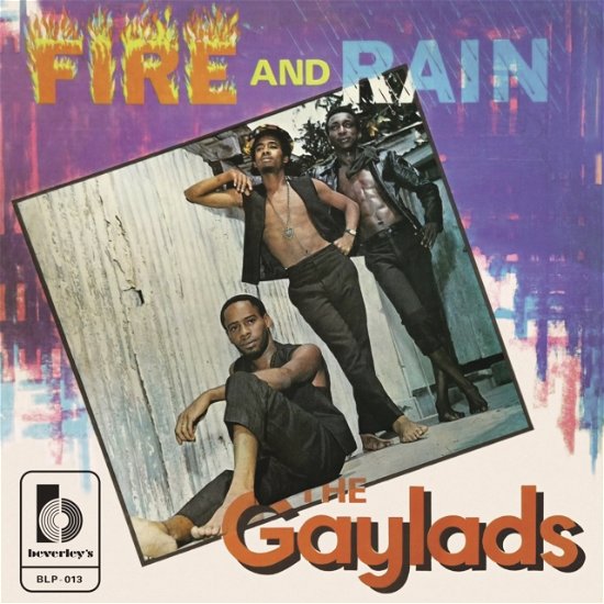 Cover for Gaylads · Fire And Rain (LP) (2024)