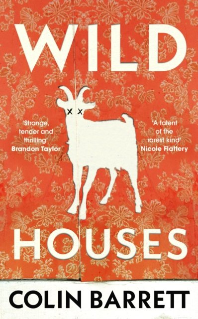 Cover for Colin Barrett · Wild Houses: One of the Observer's Debut Novels of 2024 (Innbunden bok) (2024)